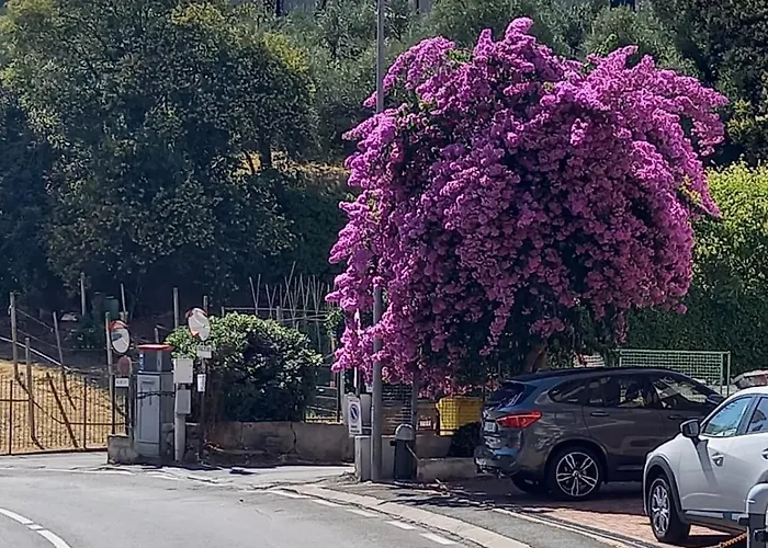Terrazza Sul Mare In Via Devoto * 키아바리